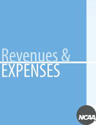 2008-2009 DIII Revues & Expenses Report